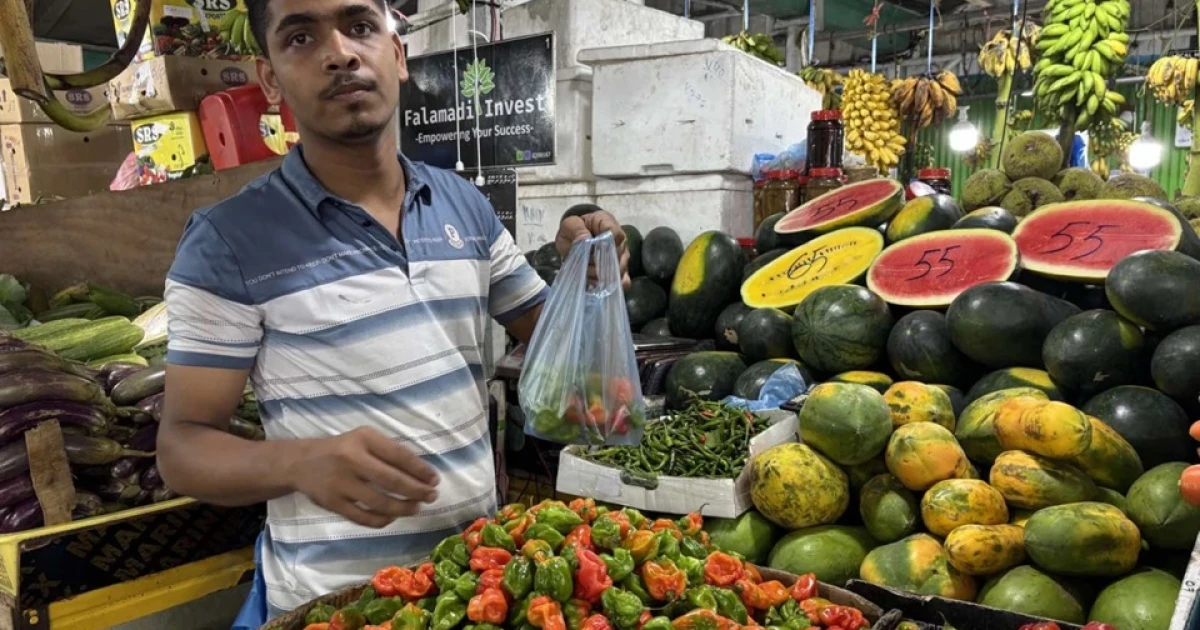 Fresh 'githeyo mirus' at MVR 15 per 100g in Dhathuruveringe Market