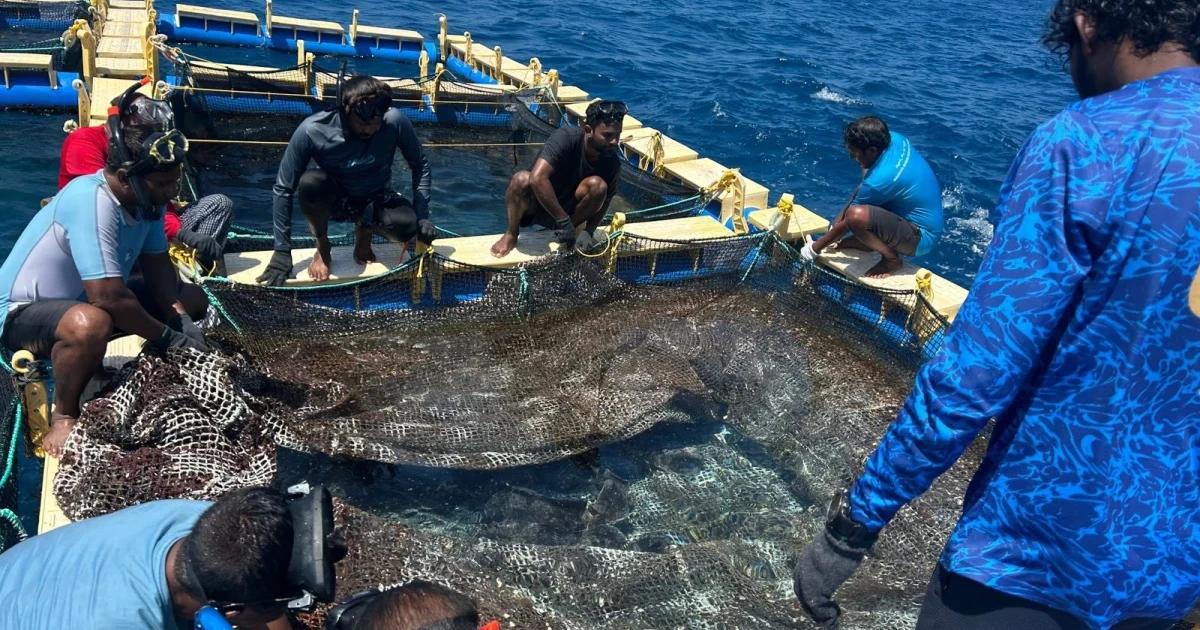 Marine Hatchery Skills Development programme opens for applications